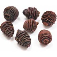 SPIRAL CONES HEADS Natural (BULK)-